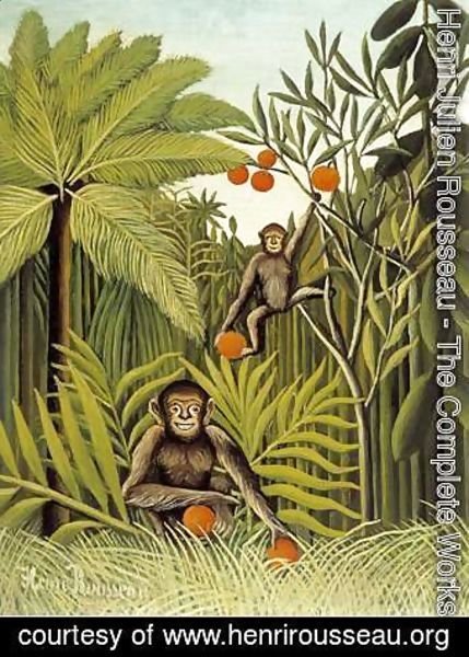 Two Monkeys in the Jungle
